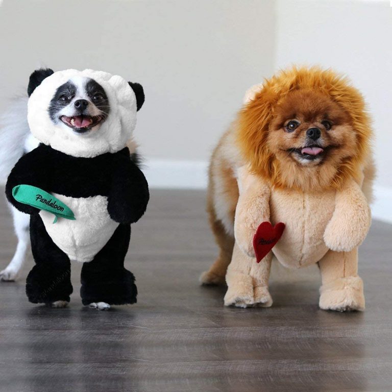 Top 15 Dog Costume Ideas for Any Occasion.