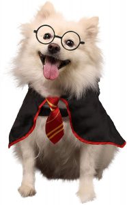 Harry Potter Dog Costume