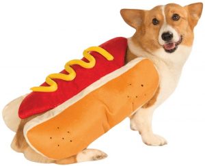 Hot Dog Costume