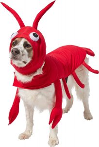 Lobster Dog Costume