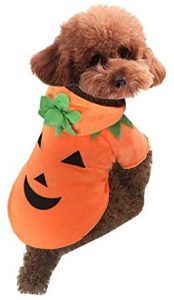 Pumpkin Dog Costume