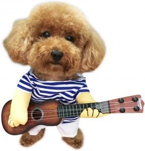 Rock n Roll Dog Costume