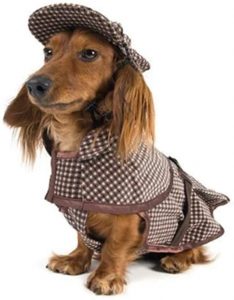 Sherlock Holmes Dog Costume