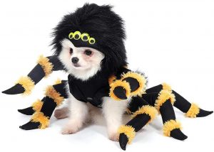 Spider Costume for Dog