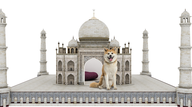 Most Amazing Dog Houses