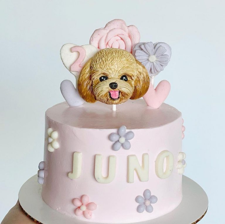 Top 10 Birthday Ideas You can Imitate for Your Dog