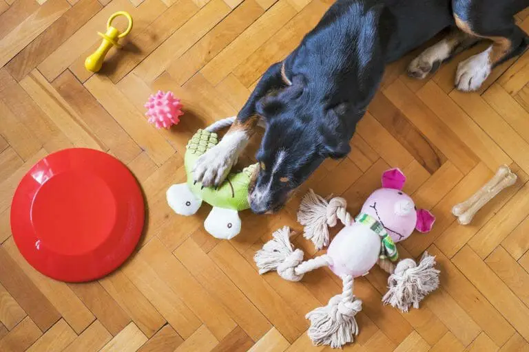 Dog Toy Storage Ideas: 13 Ways To Store Dog Toys