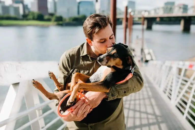 Best Dog Rescues in Charleston, SC: 2022’s Guide on Where to Adopt
