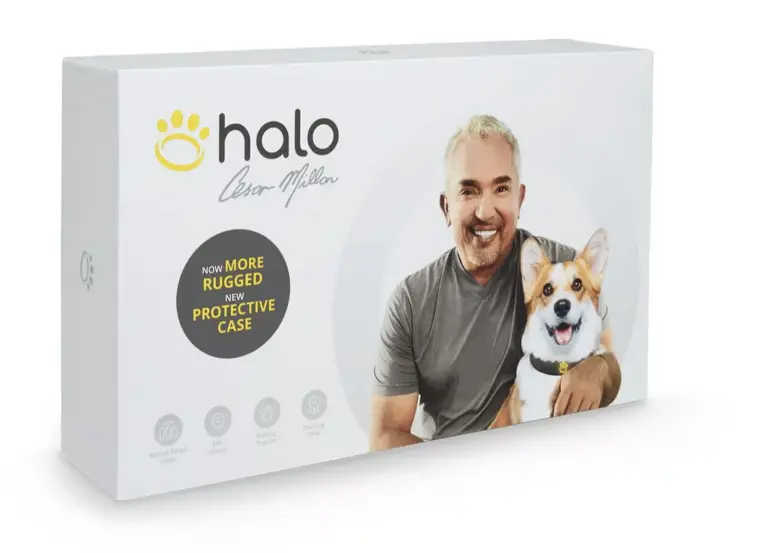 Halo Collar Review: The Ultimate Smart Collar in the Market