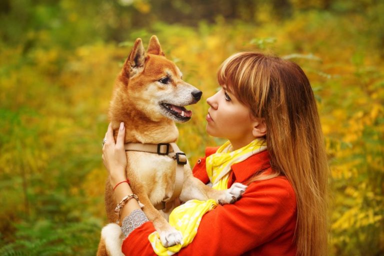 Best Dog Rescues in Nova Scotia [A Dog Adoption Directory]