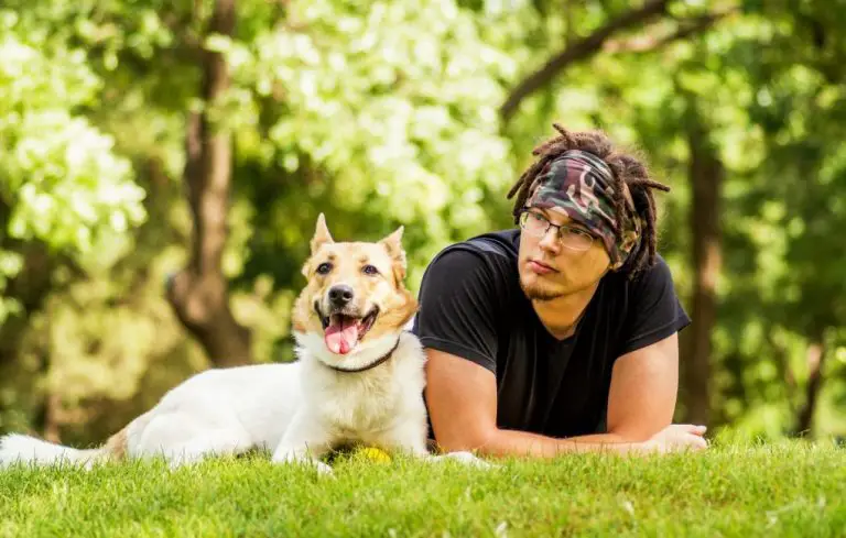 Best Dog Rescues Near Oahu [A Dog Adoption Directory]