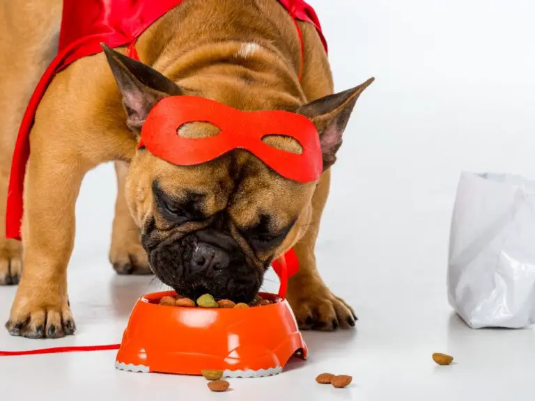 How Much Should French Bulldogs Eat: A Comprehensive Guide