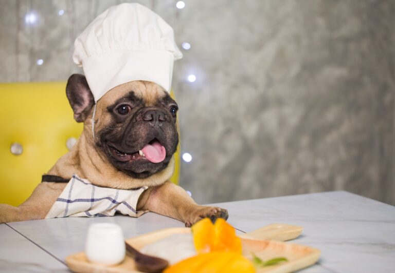 Can French Bulldogs Eat Tomatoes? A Guide to Feeding Your Frenchie Safely