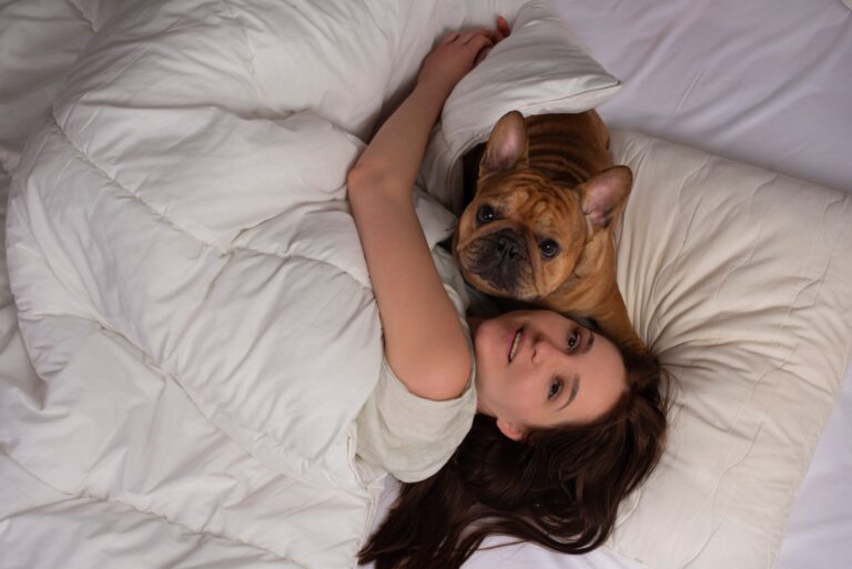Do French Bulldogs Sleep a Lot? Understanding the Sleeping Habits of This Popular Breed.