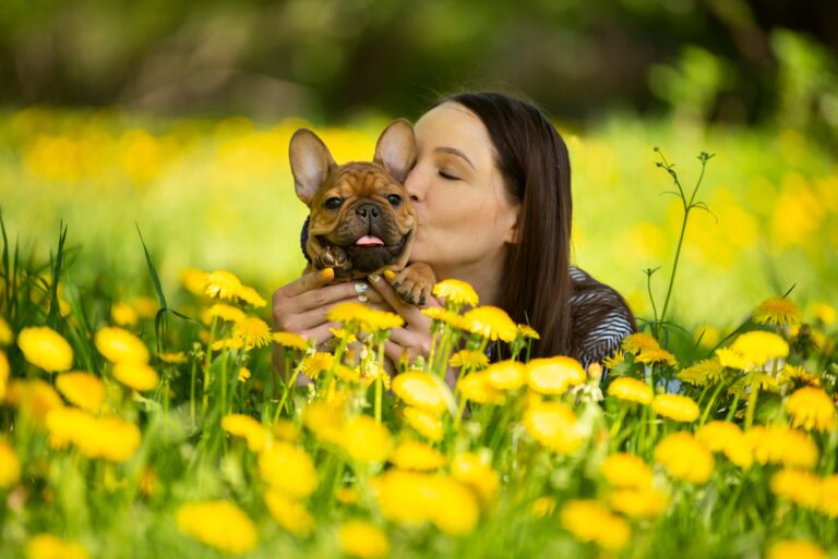 Are White French Bulldogs Rare? Here’s What You Need to Know