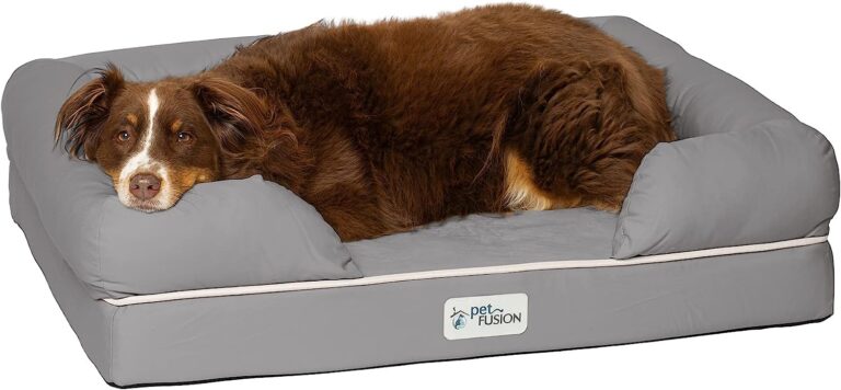 Best Beds for Whippets: Comfortable and Supportive Options for Your Canine Companion