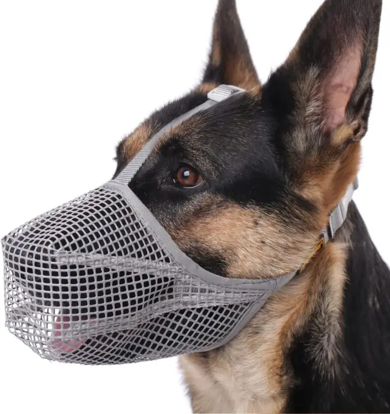 Best Dog Muzzles in 2023: Top Picks for Safety and Comfort